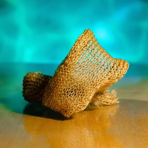 Paraibana transforma algas marinhas em fio têxtil que promete menor impacto ambiental na moda