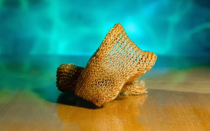 Paraibana transforma algas marinhas em fio têxtil que promete menor impacto ambiental na moda