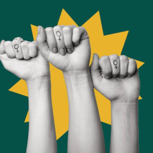 O poder que falta ser disputado: o voto feminino na Paraíba